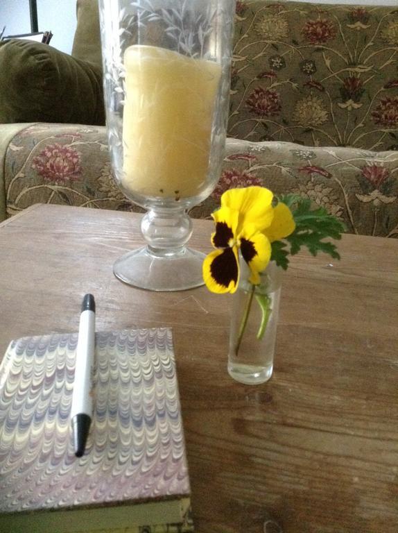 Haddock Hill House Bed & Breakfast Old Chatham Phòng bức ảnh